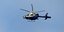 Hubschrauber zwischen Limmer und Eimsen im Einsatz: Alfelder Polizei nimmt Mann fest