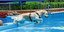 Freibadsaison im Leinebergland endet: Wo Mensch und Hund am Wochenende noch einmal schwimmen gehen können
