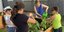 Aus Gartenprojekt wächst Gemeinschaft – Urban Gardening bringt große und kleine Alfelder zusammen