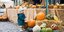 Von der Zauberbohne bis zum Spaghetti-Kürbis: Die schönsten Fotos vom Hildesheimer Herbstvergnügen