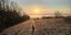 Hingucker: Der Sonne entgegen
